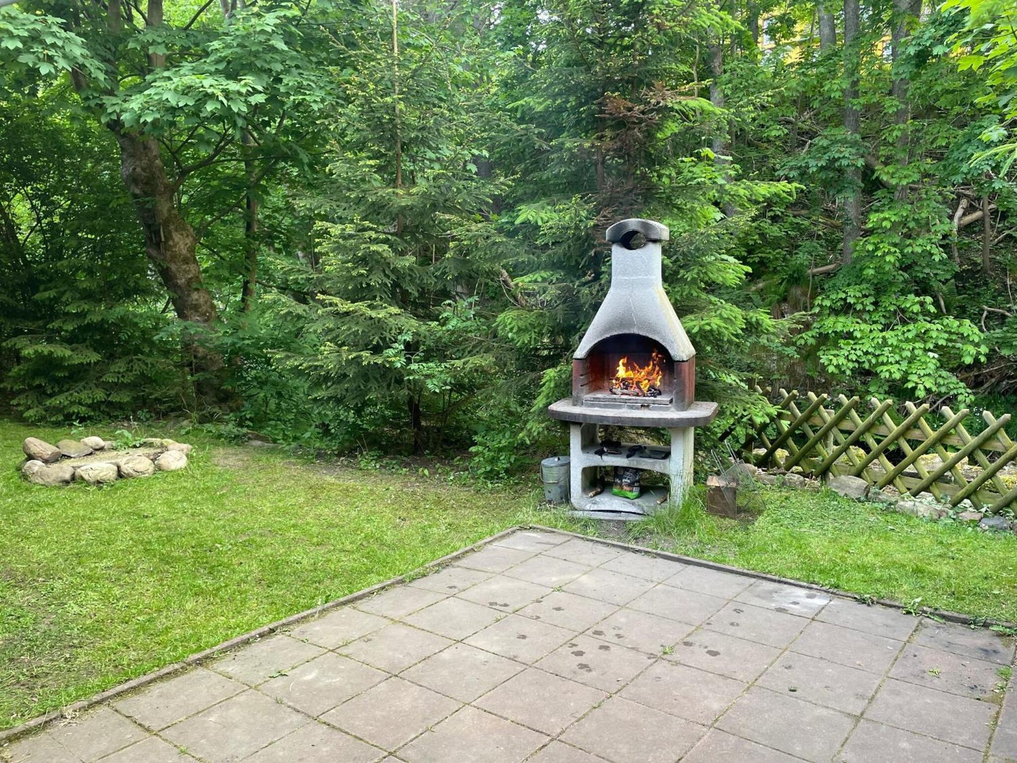 Holiday Home Hexenstieg In The Harz Mountains Elend Zewnętrze zdjęcie